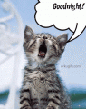 Comments, Graphics - Good Night 
